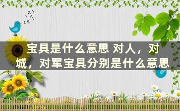 宝具是什么意思 对人，对城，对军宝具分别是什么意思